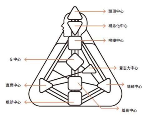 人形圖|人類圖怎麼看？看懂人類圖詳細解析：9大能量、4大類。